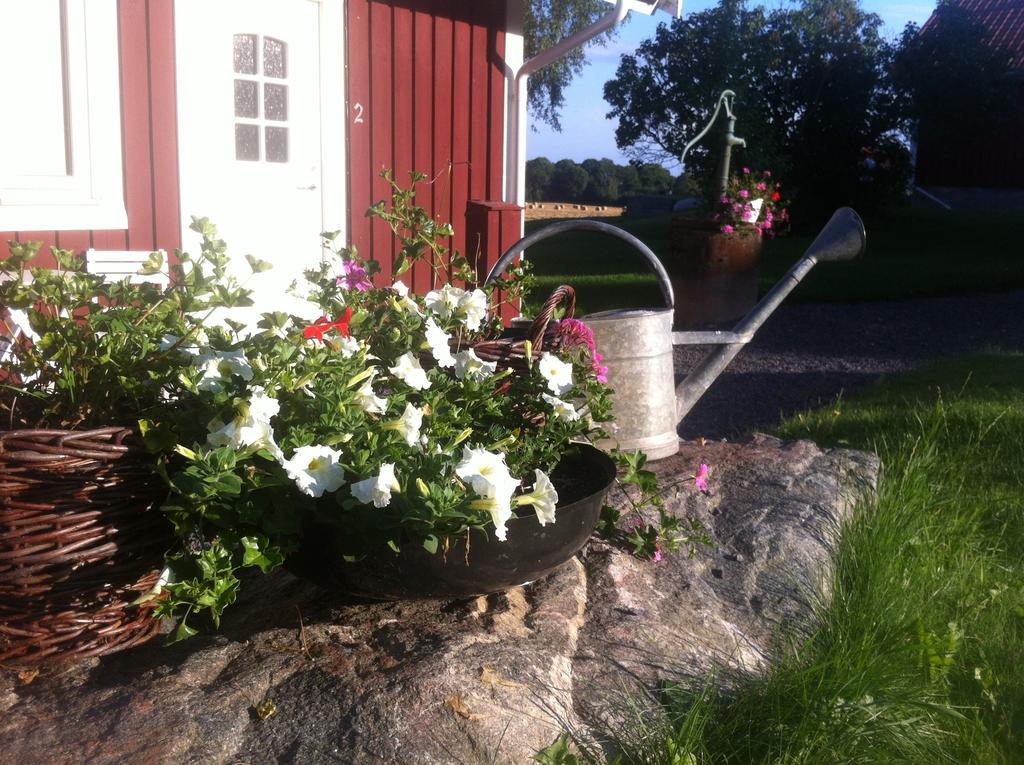 Hogby Spa & Konferens Borensberg Rom bilde